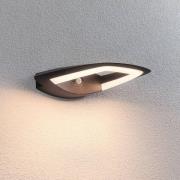Paulmann LED buiten wandlamp Akena, 3.000 K, antraciet