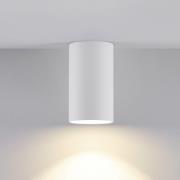 Downlight CAN, wit, IP20, Ø 6 cm, metaal, GU10