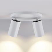 CAN TILT plafondspot, wit, Ø 20 cm, 2-lamps, metaal, GU10