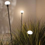 Karman LED tuinpadverlichting MINUIT, hoogte 60 cm, zwart, IP65