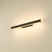 SLV LED badkamer wandlamp One Linear, 52 cm, zwart, CCT
