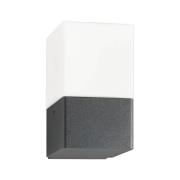 Buitenwandlamp Linus, grafiet, roestvrij staal, opaalglas, E27