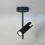 Plafondspot Leda 1, antraciet, 1-lamp, staal, hoogte 34 cm