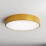 Plafondlamp Cleo 500, goud, sensor, IP54, Ø 50 cm, metaal