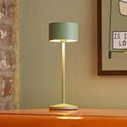 LED tafellamp Veluna, groen, hoogte 25 cm, IP44, dimbaar, CCT