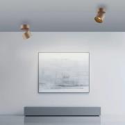 PURE LED plafondspot Cup, bronskleurig, Ø 9,5 cm, metaal