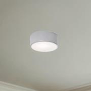 Plafondlamp Cleo, Ø 20 cm, IP54, grijs, metaal, E27