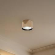 Plafondspot Chloe vast, staal messingkleurig