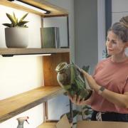 OSRAM LED meubelverlichting Linear Edge Sensor 50 cm zwart CCT