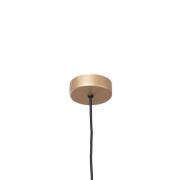 LED hanglamp Rulo, goud, Ø 3,2 cm, staal, 3000 K