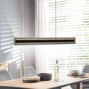 Schöner Wohnen LED hanglamp Lena, zwart, dimbaar, lift