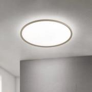 LED plafondlamp Kant, Ø 80 cm, kaki, CCT, metaal/kunststof