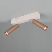 LED plafondspot Ambala, lengte 26 cm, grijs/bruin, 2-lamps.