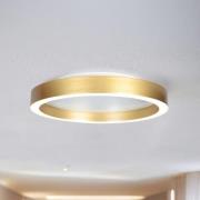 LED plafondlamp Ringlux goudkleurig, Ø 40 cm, metaal, 2.700 K