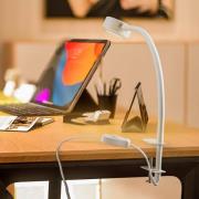Lindby klemlamp Jyla, wit, 2.700 K, GX53