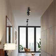 LED-spot BRUSH, zwart, 50 cm, 3-lamps, metaal, dimbaar, 2.700 K