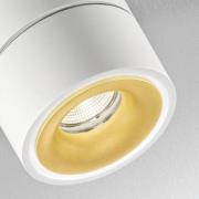 EGG DLS LED plafondspot Clippo S Duo, 2-lamps, wit-goud