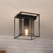 Plafondlamp Catterick, zwart, een kooikap