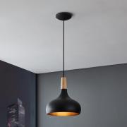 Sabinar hanglamp, 1-lamp, zwart, Ø 28 cm