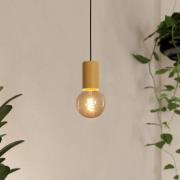 Hanglamp Pozueta 1, 1-lamp, zwart/bruin