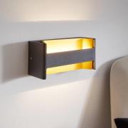 LED wandlamp Feloniche in zwart/goud