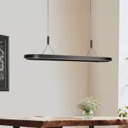 LED hanglamp Mykty, zwart, lengte 120 cm, metaal, 2-lamps.
