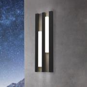 LED buitenwandlamp Fandina, zwart