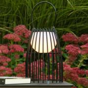 LED tafellamp Fjara, zwart