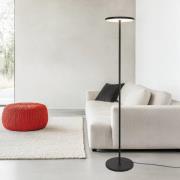 LED vloerlamp Demy, zwart, hoogte 170 cm, metaal