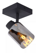 Lucide Alion - opbouwspot - 10 x 10 x 18 cm - zwart gerookt