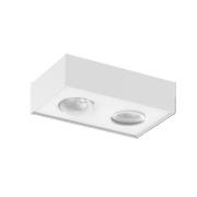 Artdelight Brooklyn2 - opbouwspot - 13,5 x 22,4 x 6 cm - 2 x 8W dim to...