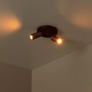 Lucide Ritmo - opbouwspot 2L - Ø 15 x 11,1 cm - koffie