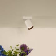 Lucide Nigel - opbouwspot - 10 x 10 x 11,3 cm - 5W dimbaar incl. - dim...