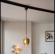 Lucide Track Preston Hanglamp - 1-fase Railsysteem - Ø 9 x 130 cm - go...